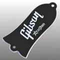 Gib Custom