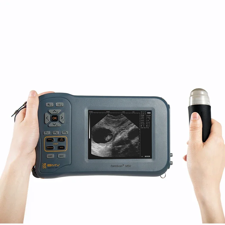 

Professional mmini pocket mobile vet ultrasound machine dog sonography handheld portable with screen