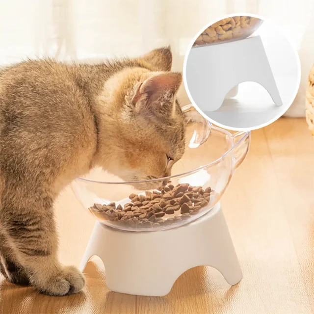 1pc-For Cats Dogs Feeders Non-slip Pet Food and Water Bowls Cat Bowl Feeding Products Pet Supplies With Stand Base Transparent 1pc-For Cats Dogs Feeders Non-slip Pet Food and Water Bowls Cat Bowl Feeding Products Pet Supplies With Stand Base Transparent