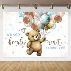 Whimsical Teddy Bear Balloon Birthday Backdrop and Decor Set - 270X180CM (TDX - S4306)