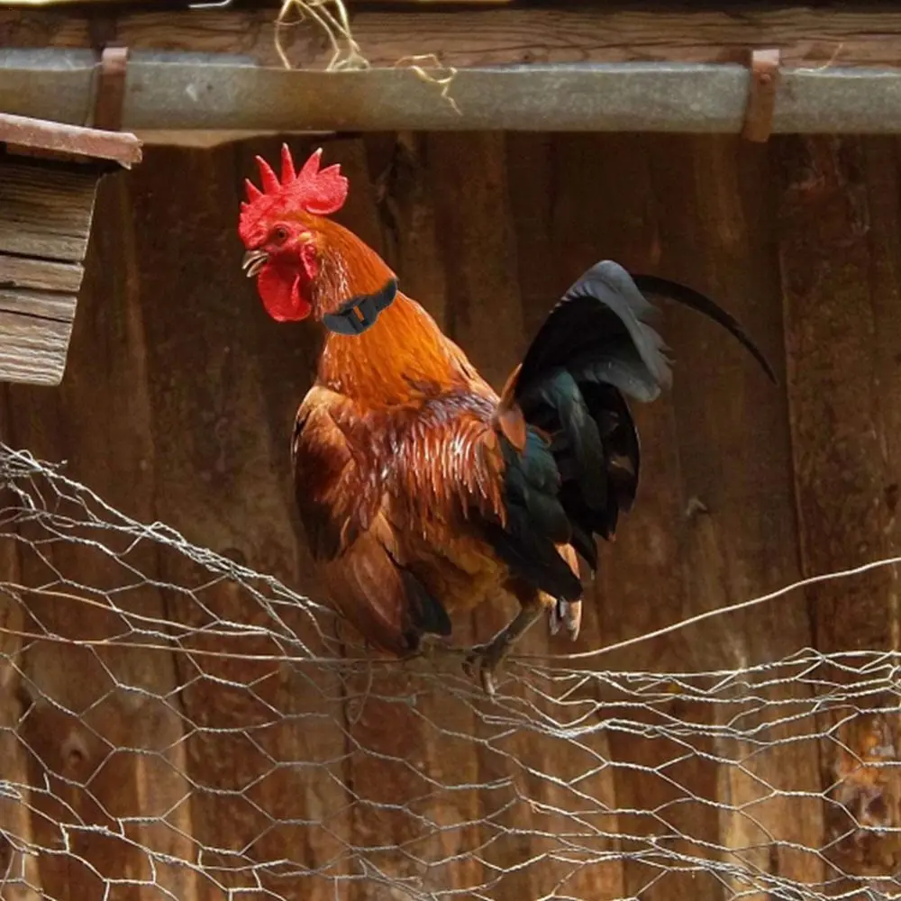 Chicken Collar Anti-Hook Noise Free Neckband Collars 2 PCS No Crow Rooster Collar to Prevent Chickens from Crowing Supplies rooster neck collar