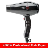 Professional Hair Dryer 1600W Personal Care Home Appliance Negative Ion Ceramic Hot and Cold Wind Blow Dryer Powerful Wind 2