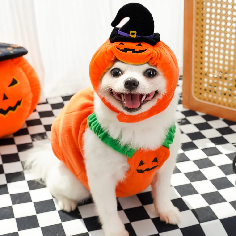 Pumpkin Pet Halloween Costume 3