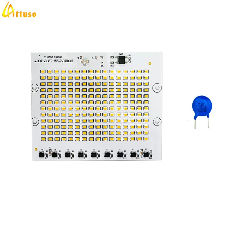 Led Lamp 10W 20W 30W 50W 100W Smart IC Floodlight COB Chip SMD 2835 Outdoor Long Service Time DIY Lighting In AC 220V 230V 240V