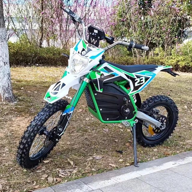 Popular Sale Model 1500w 2000w 3000w 60v Electric Motorcycle For Youth Electric Dirt Bike