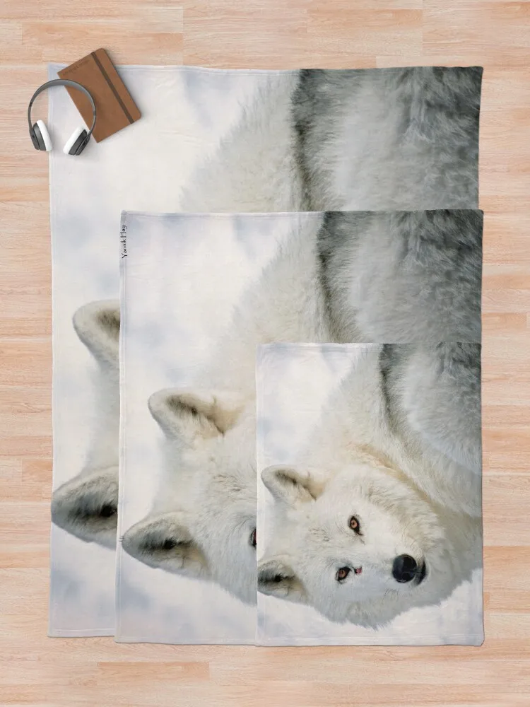 �ϱ� ���� ������ ���, ķ�� ���, �� �ʴ��� ������ ���