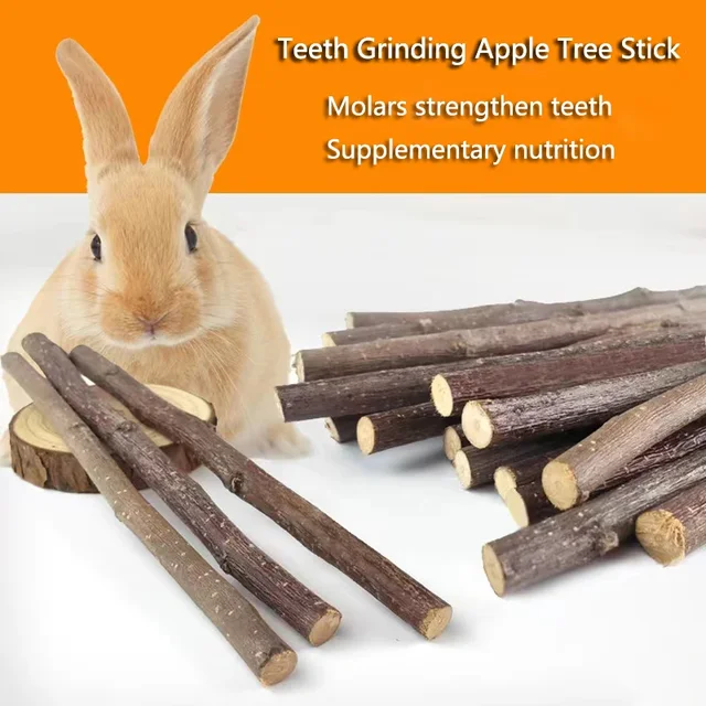 Professional Hamster Rabbit Teeth Grinding Apple Tree 6