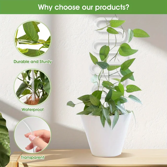 2/4/6/8/10PCS Transparent Acrylic Trellis for Indoor Plants,Curved Plant Stakes for Climbing Vines, Hoya, Pothos, and Ivy 4