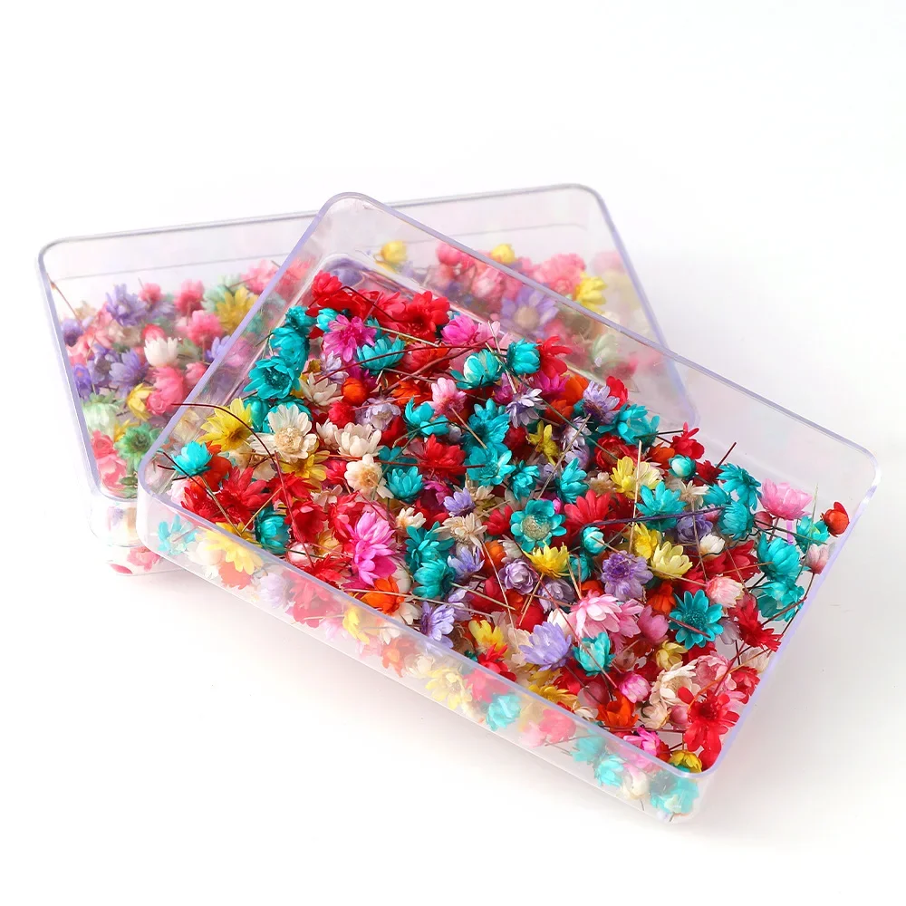 Artificial Flower 100/200PCS Dried Flowers Brazil Little Star Flower DIY Craft Epoxy Resin Candle Nail Art Epoxy Resin Filling Making Jewellery