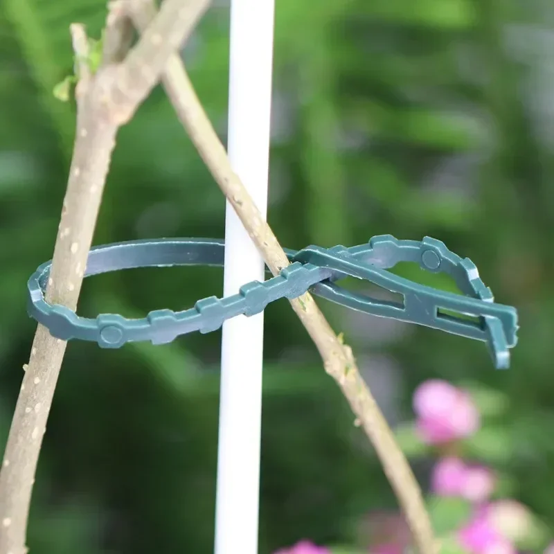 500/20pcs plant ties plastic plant cable ties plastic plant clips plastic plant supports plant clips plant stem support plant support connector plant support stick Adjustable Plastic Plant Cable Ties Reusable Self-locking Ties Garden Support Plant Vine Tomato Stem Clip Fastener