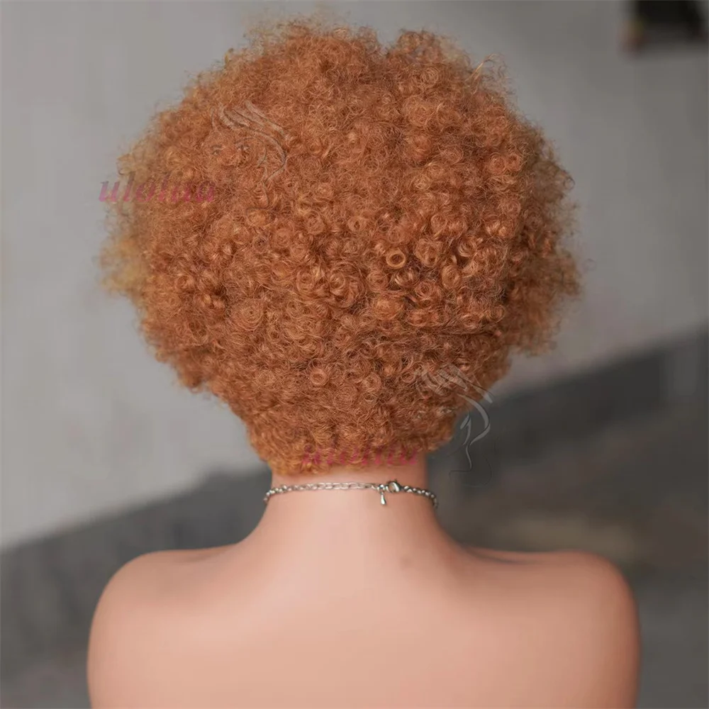 T1B/30 Ombre Color Afro Kinky Curly Human Hair Wig with Braids 13x4 Transparent Lace Front Curly Short Bob Wigs 250% for Women