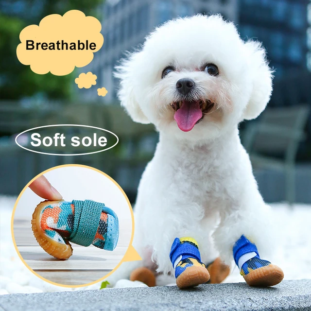 All Season Dog Shoes Breathable Shoes for Small Dogs Boots Booties Paw  Protector Puppy Cat Shoes Booties Anti-Slip Sole - AliExpress