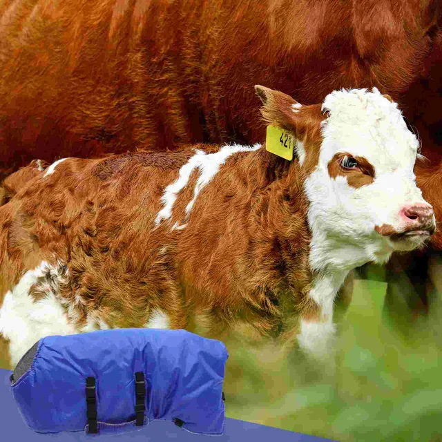 1pc Calf Vest Warm Coat Waterproof Windproof Fleece Ranch Clothes Soft Jacket For Pasture Supplies Horse Care Gear Winter 6