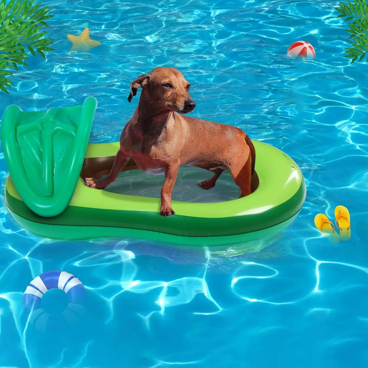 Inflatable Floats Small Dog Dog Floatie 1PCS Avocado Dog Pool