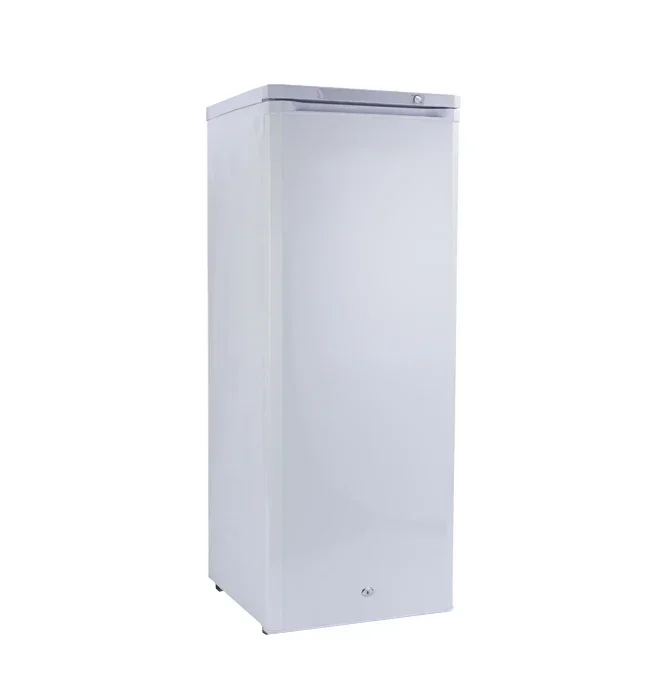 198L DC 24V Ice Block Upright Freezer 11lays/7 Lays Commercial Solar Panel Gel Battery 70kg Per 24 Hours DIY Solar Ice Maker 6