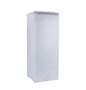 198L DC 24V Ice Block Upright Freezer 11lays/7 Lays Commercial Solar Panel Gel Battery 70kg Per 24 Hours DIY Solar Ice Maker 6