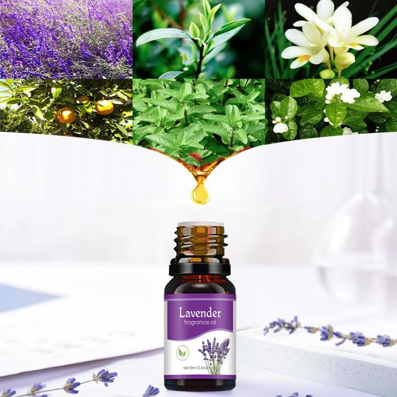 Essential Oils 12 Flavors 10ml for Aroma Diffuser Air Humidifier