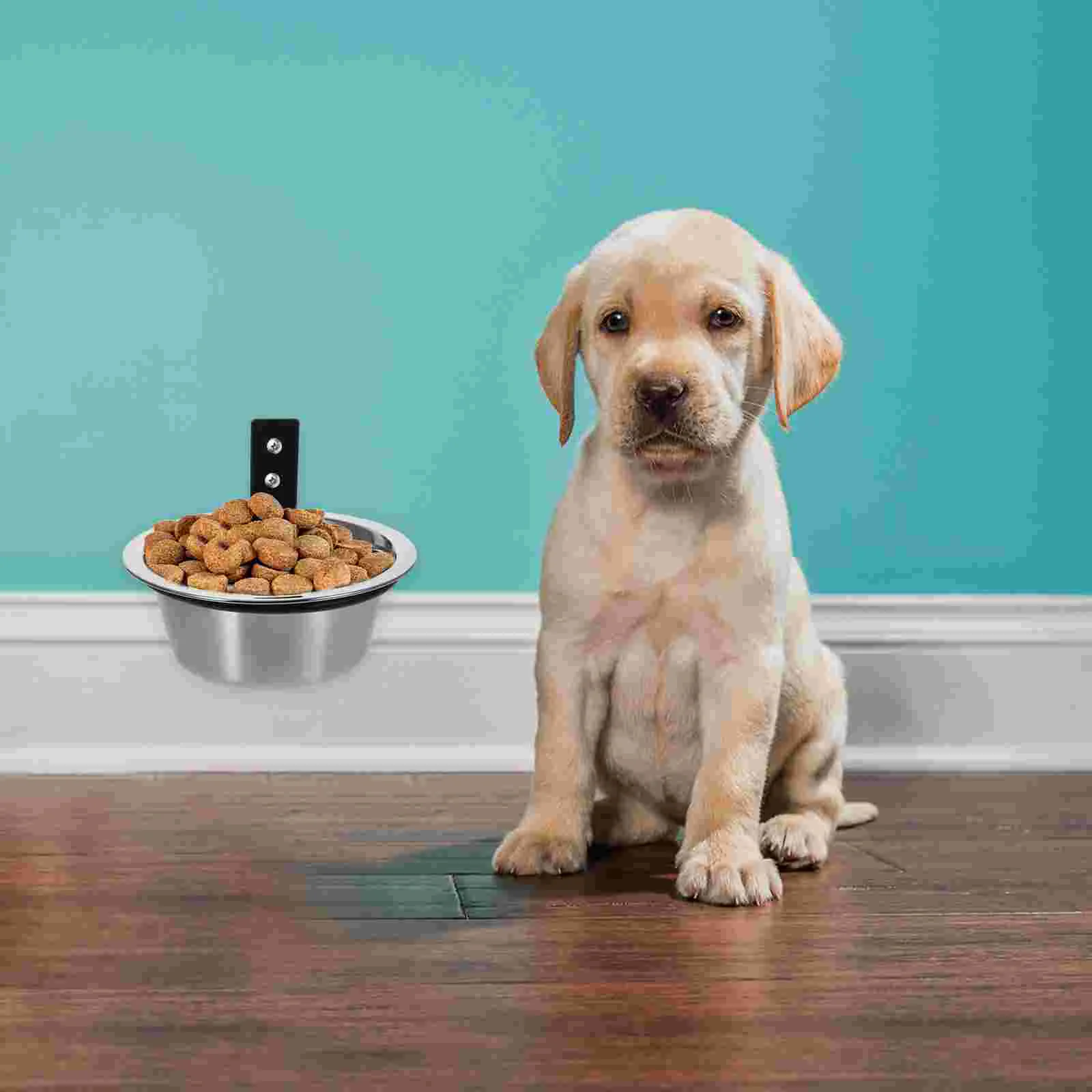 

Elevated Dog Bowls Wall Mounted Dog Food Dish Pet Comfort Feeding Bowls Raised Food Water Bowls Small Medium Large Dogs