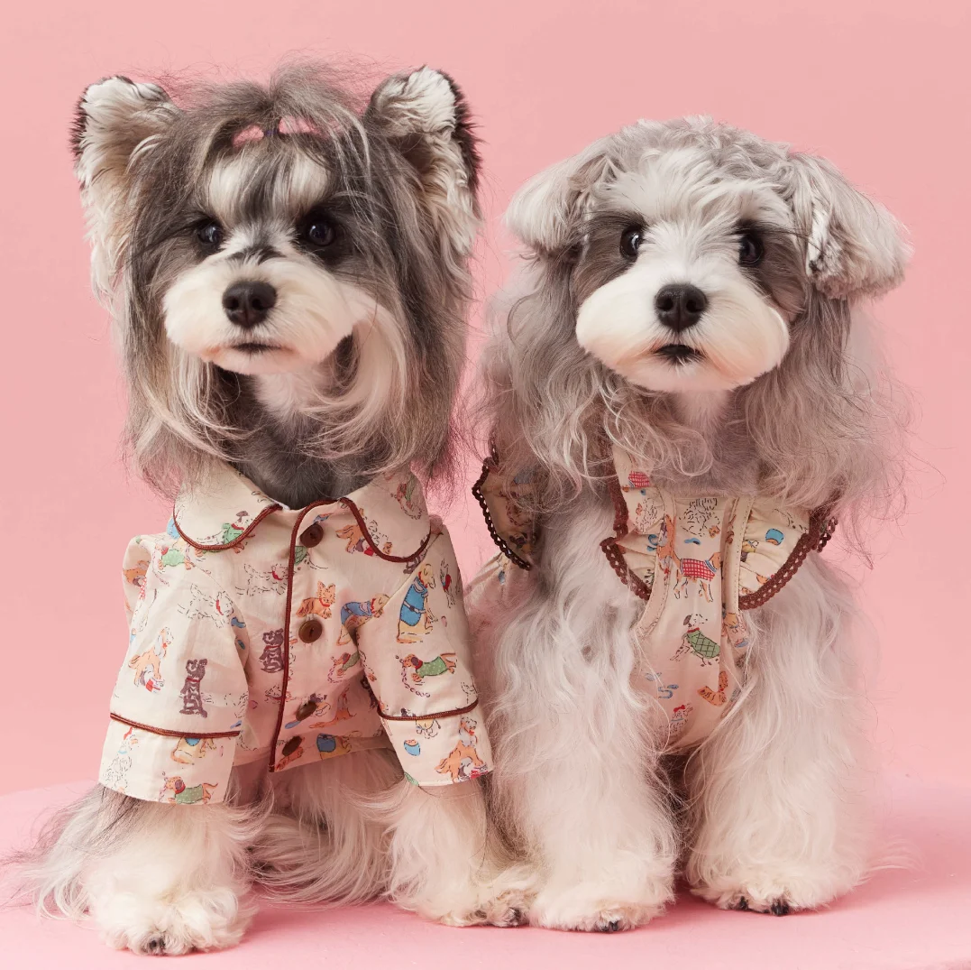 Thin Printed Pet Clothes for Small Dogs, Puppy Clothing, Home Pajamas, Maltese Teddy Schnauzer, Bichon Bear Shirt, Spring