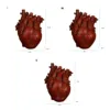 Heart Shape Flower Vase Desktop Reisn Plant Pot Sculpture Model Art Vases for Home Decor Bedroom Countertop Ornament Gifts 5