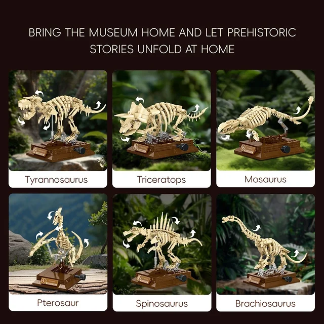 Jouet de construction de dinosaure pterosaure fossile KNEW BUILT - Cadeau pour collectionneur, jouet éducatif STEM et décoration d'intérieur, cadeau d'anniversaire pour garçons 6 Jouet de construction de dinosaure pterosaure fossile KNEW BUILT - Cadeau pour collectionneur, jouet éducatif STEM et décoration d'intérieur, cadeau d'anniversaire pour garçons 6