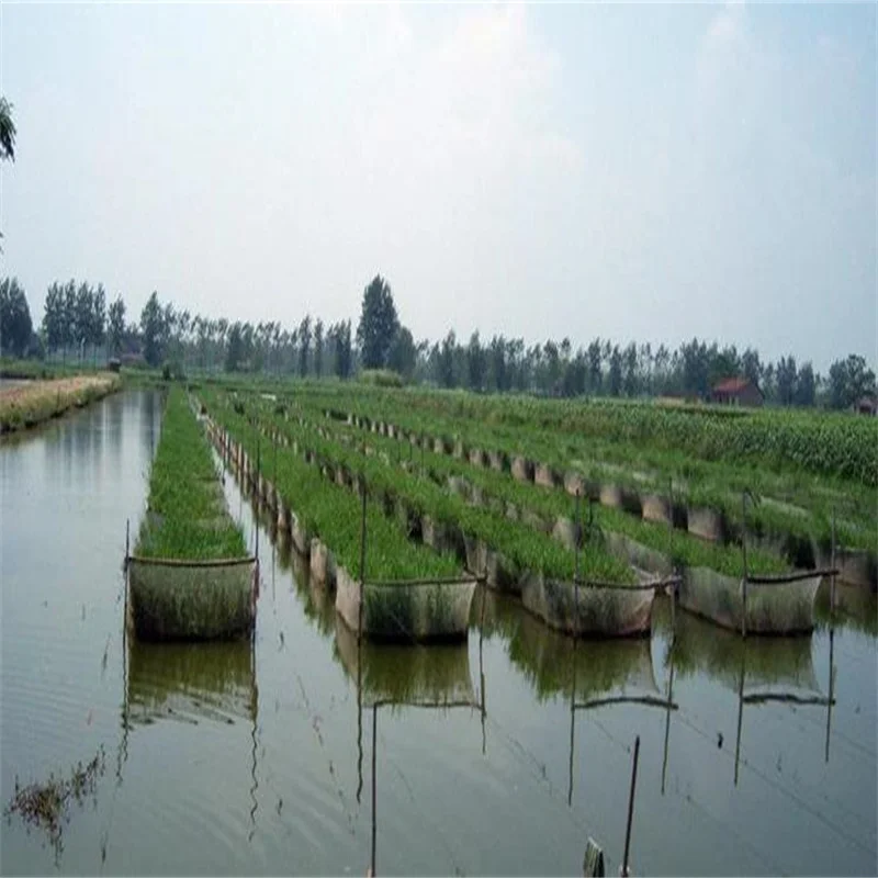 White cage Special for fish culture Cage Aquaculture Fishing net Fish and aquatic products Aquarium in various sizes