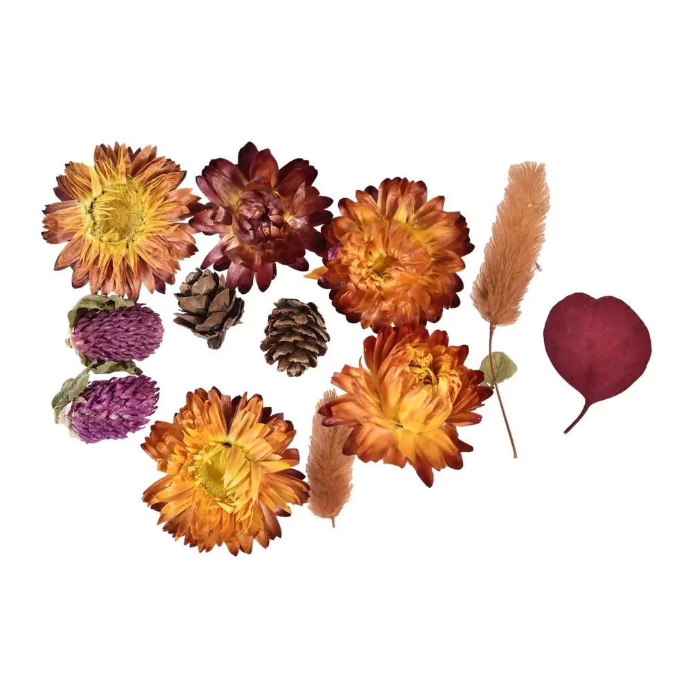 Trockene Blumen echte getrocknete gepresste Blumen getrocknete Blumen Blätter Masse für Kerzen Epoxiden Anhänger Halsketten Schmuck Handwerk Dekor – Detail 1