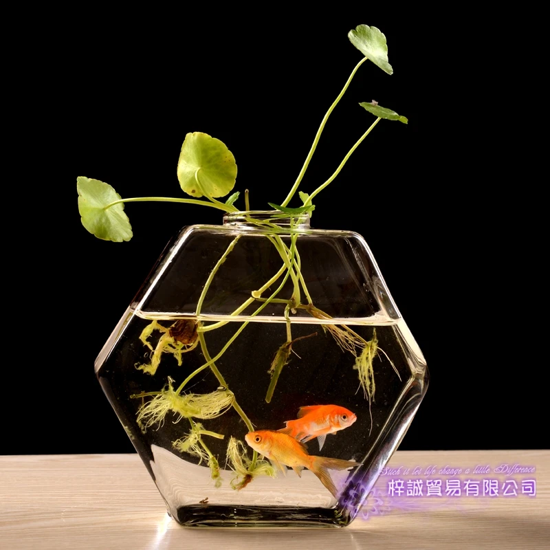 Hexagon Vase Christmas Hexahedron Wall Terrarium Glass Flower Vase Wall Round Sphere Tabletop Vases Home Decoration Transparent 2