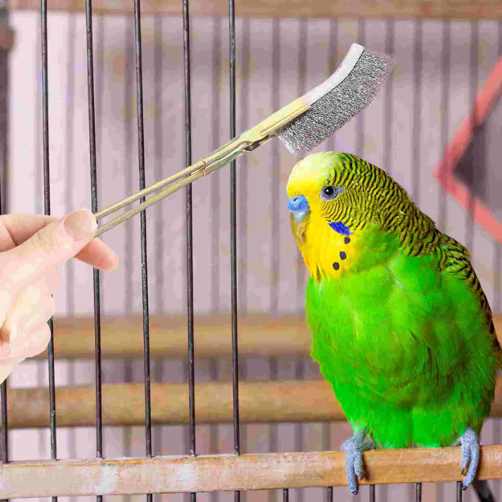 ޹ θ ħ θ ƿ   , 귯  û, 2 