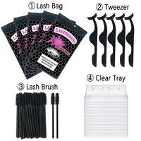 Wholesale Lashwood Eyelash Packaging Bag With Lash Trays Brush Tweezers Applicator Natural Mink lashes Package Custom Logo Bulk 1