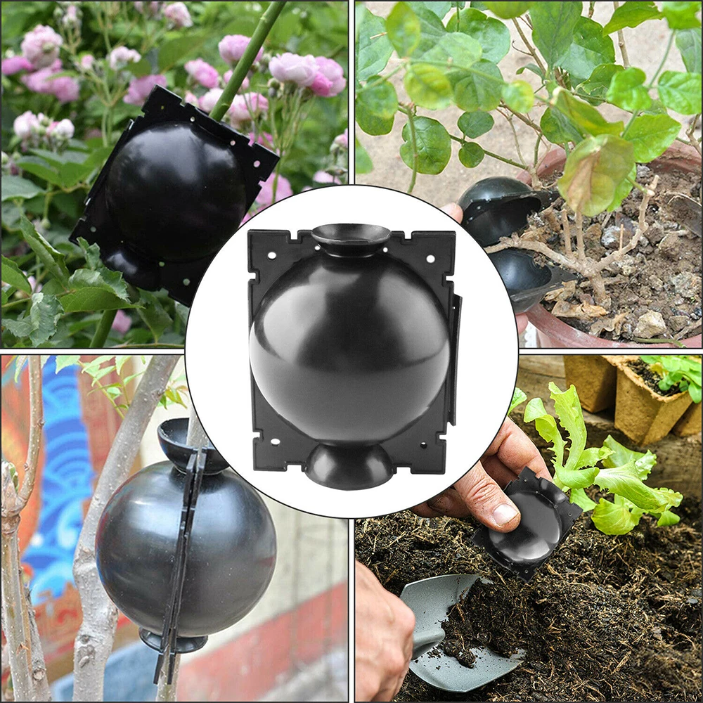 Plant Propagation Box 6pcs 5/8/12cm