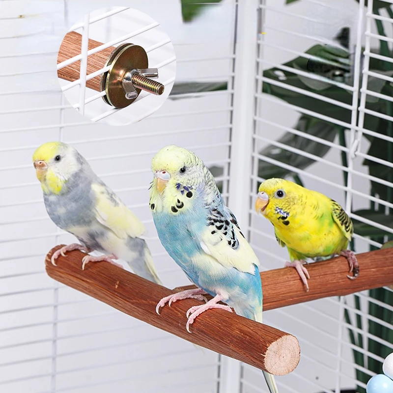 Natural Fruit Tree Parrot Pole Toy T-shaped  Bird Cockatiel Parakeet Perches Bite Claw Grinding Toy Bird Cage Accessories Pet To 3