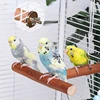 Natural Fruit Tree Parrot Pole Toy T-shaped  Bird Cockatiel Parakeet Perches Bite Claw Grinding Toy Bird Cage Accessories Pet To 3