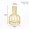 1pc Iron Art Hollow Out Golden Vase Creative Metal Bottle Flower Arrangement with Transparent Hydroponic Test Tube Home Decor 6
