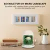 Moss Micro Landscape Bottle Display Cabinets Glasses Borosilicate Flower Pots 5