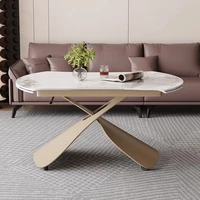 Tables basses modernes nordiques, esthétiques de qualité supérieure, multifonctions, convertibles, tendance, simples, meubles Basse pour la maison 5