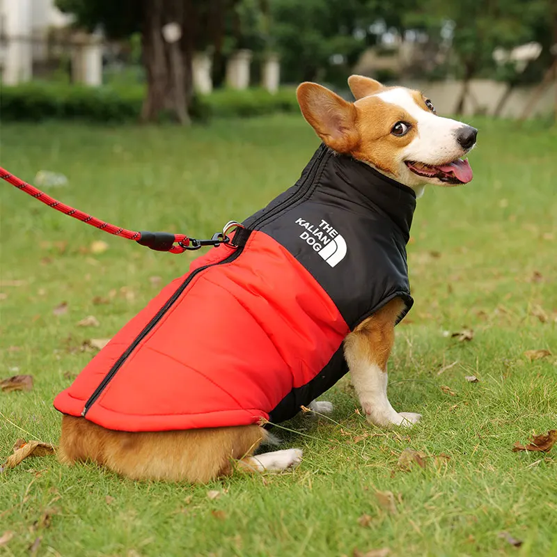 Dog clothes Corgi Labrador Winter Jacket