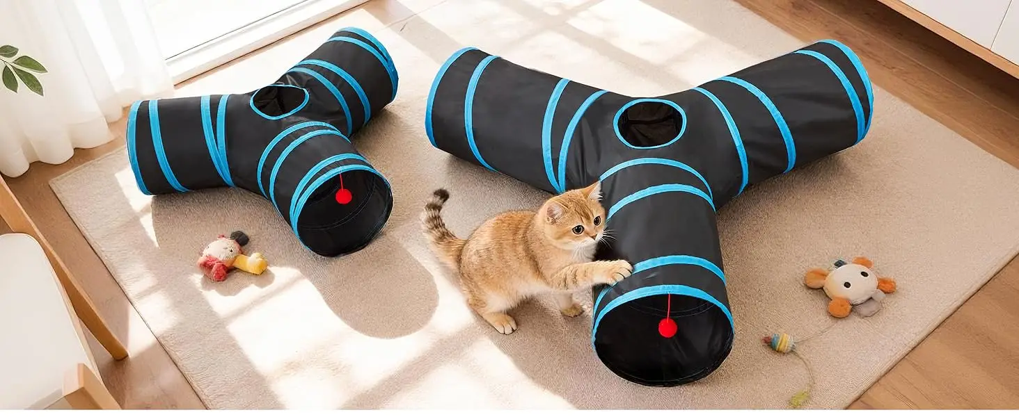 cat tunnel