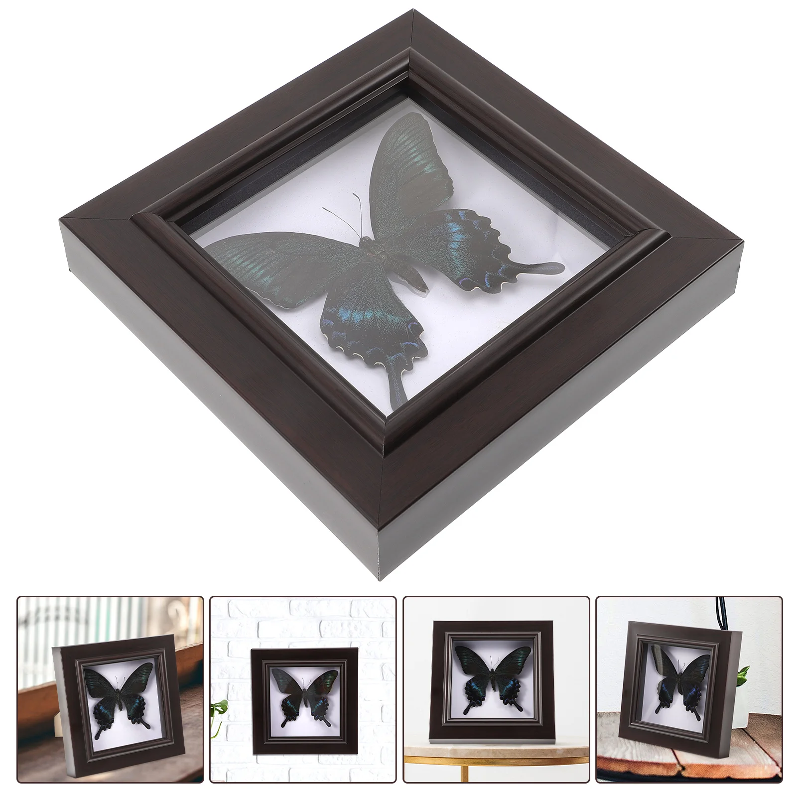 

Simulated Butterfly Specimen Handmade Rare And Exquisite Specimens Decor Wall Hanging Specimen For Education Collection Rese