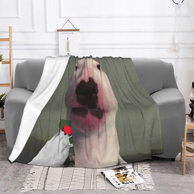 Em promoção! Engraçado Gato-do-deserto Floppa Meme Cobertores Quentes De  Flanela Jogar O Cobertor Para O Quarto Office Colchas