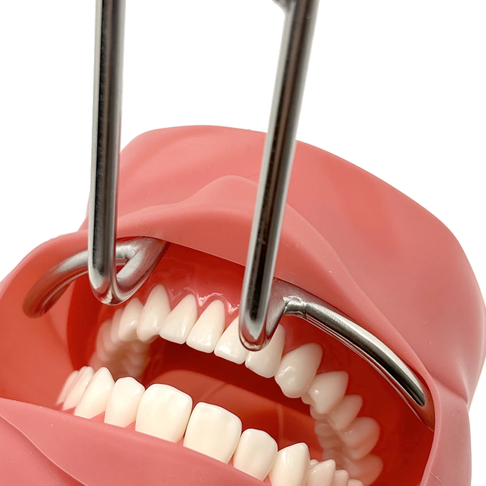 Strumento Dentale Doppia Testa Apribocca Dentale (retrattore Labbra) In Acciaio Inox A Doppia Testa, Per Uso Dentistico O Estetico Correttore Viso - Foto 5