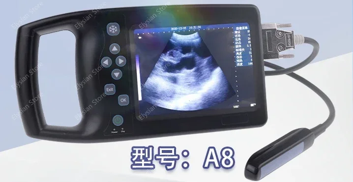 Hd B-Ultrasound Portable pregnancy detector for cats and dogs Portable color B-ultrasound machine for pets