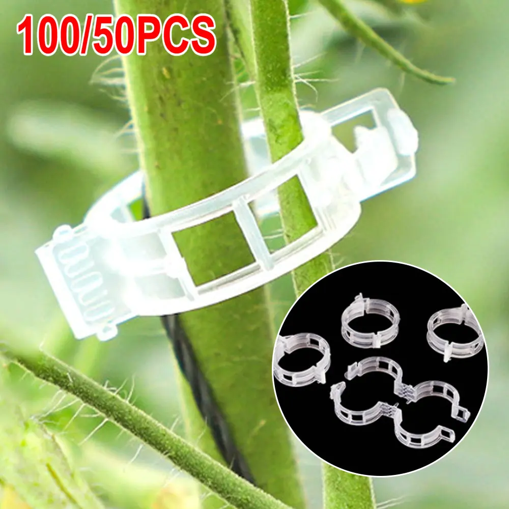 

100/50Pcs Plastic Plant Clips Supports Connects Reusable Protection Grafting Fixing Plant Vegetable Tomato Tools Garden Supplies
