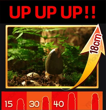 Original Brand Men Penis Enlargement Cream Big Dick Growth Thickening Long Time Sex Delay Pills Grease Cream for Sex Products 5