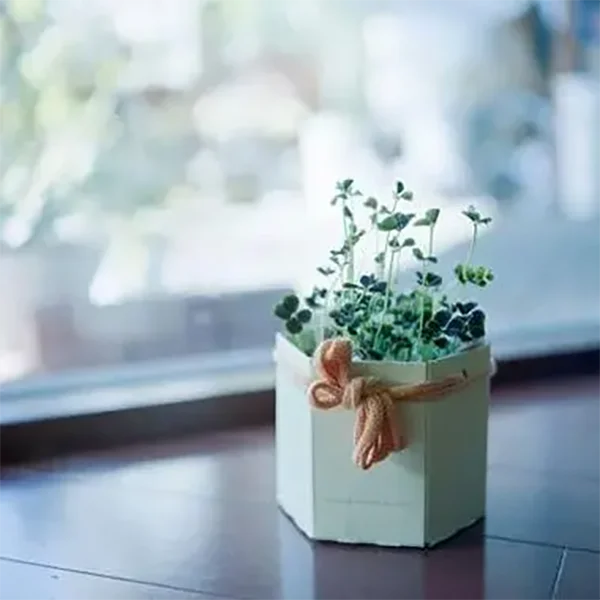 Yearning In Store