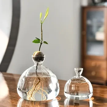 Avocado Grow Vase 1