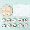 Life Cycle Board Children Toy Montessori Teaching Aids Plant Animal Growth Cycle Model Set preschool cognitive Toys 3
