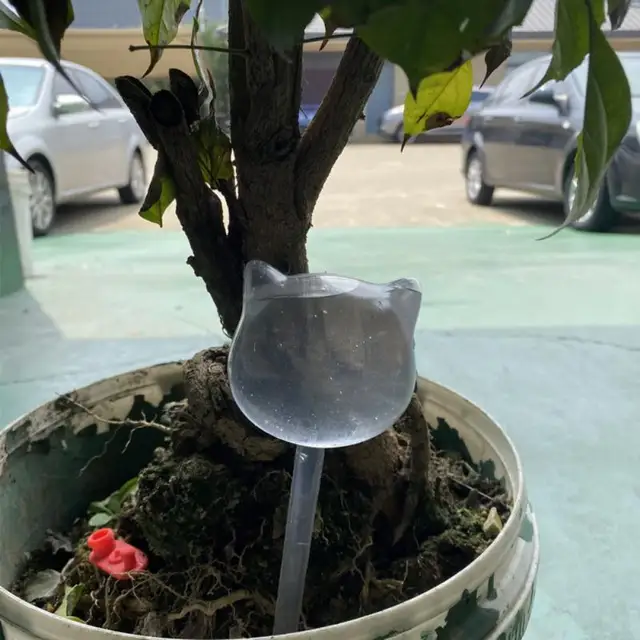Image 15