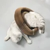 Pet Toy Organ Cat Scratch Board Strong Magnetic Design Foldable Decompression Cats Sharpening Claw Corrugated Scratching Board 4