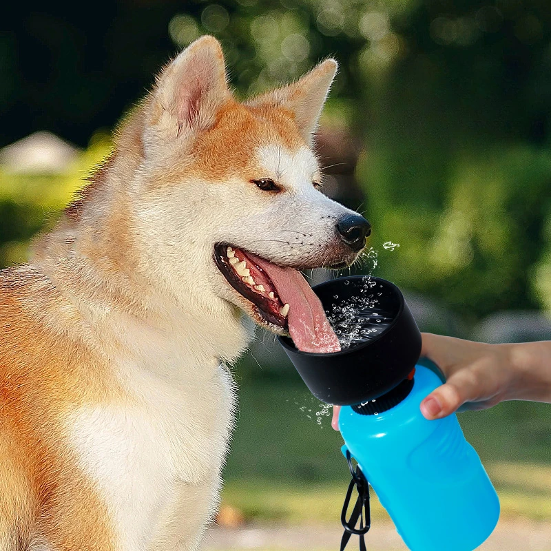 New Portable Pet Water Bottle Sports Squeezed Dog Water Cup Cat Water  Dispenser Pet Accompanying Cup for Travel Dog Water Bottle